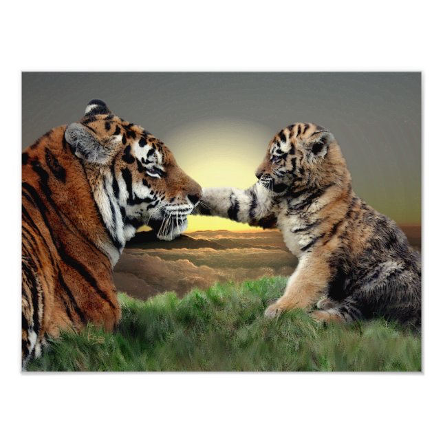 Tiger och Unge Digital Edition Skriv ut Fototryck (Framsidan)