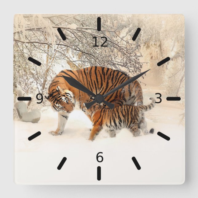 Tiger och Unge Fyrkantig Klocka (Framsida)