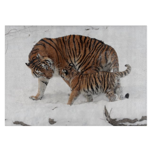 Tiger och unge i snön (Framsidan)