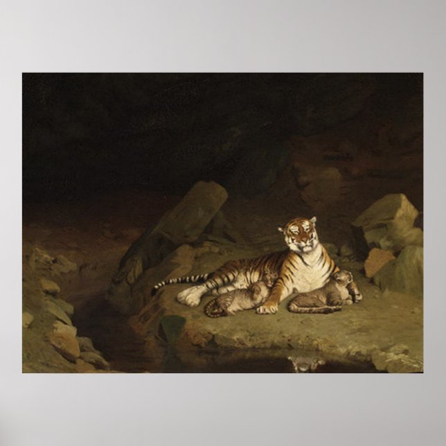 Tiger och Unge Jean-Leon Gerome 1884 Poster (Framsidan)