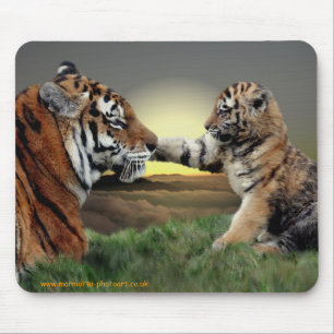 Tiger och unge Mousemat Musmatta