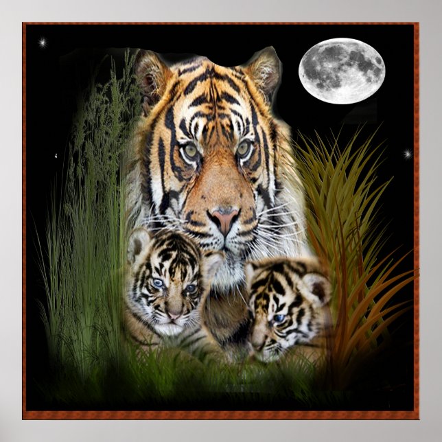 Tiger och unge poster (Framsidan)