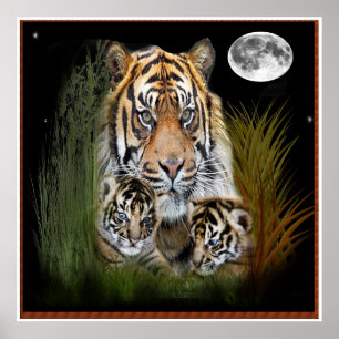 Tiger och unge poster