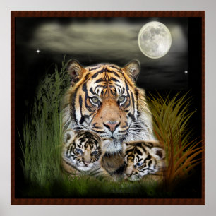 Tiger och unge poster