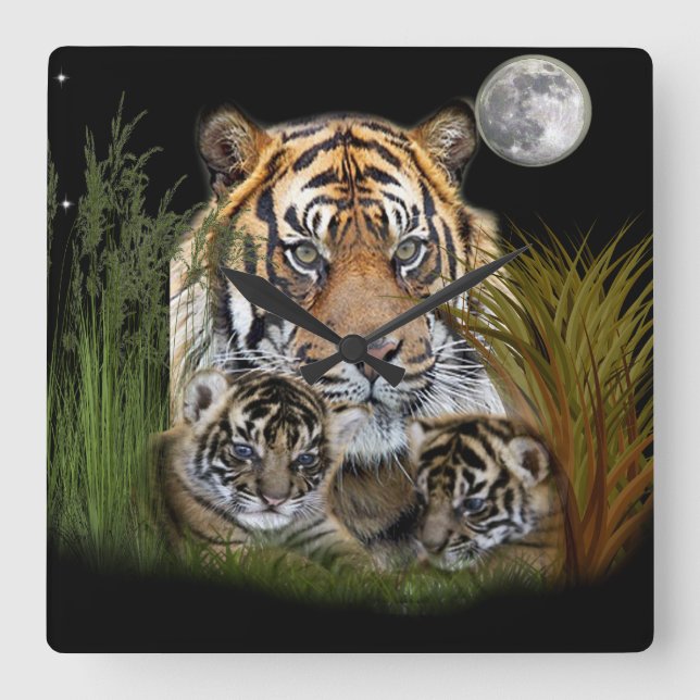 Tiger och unge väggur (Framsida)