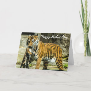 Tiger- och ungemors dagkort kort