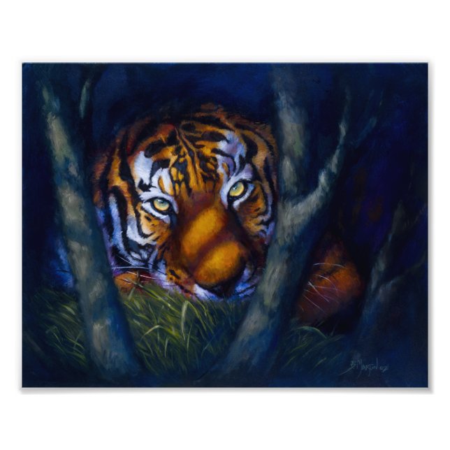 Tiger Öga Fototryck (Framsidan)