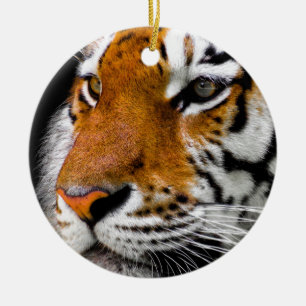 Tiger Öga Julgransprydnad Keramik