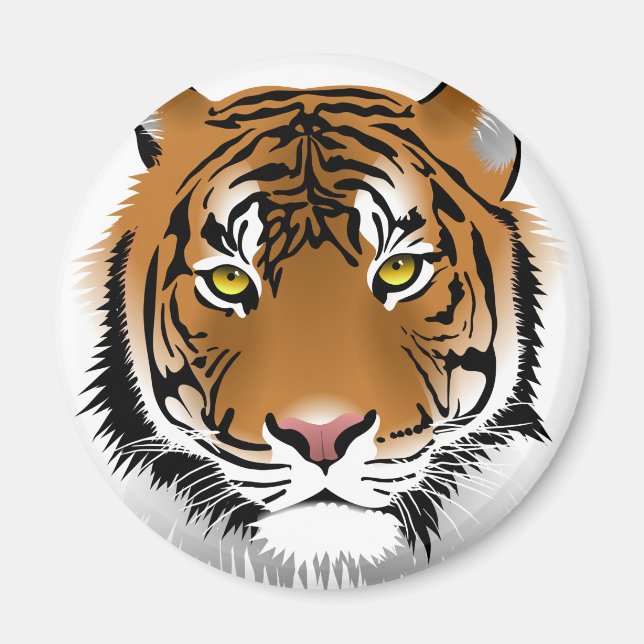 Tiger Öga Magnet (Framsidan)