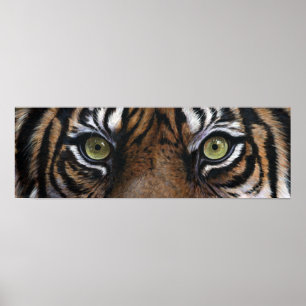 Tiger öga poster