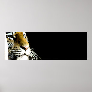 Tiger Öga Poster