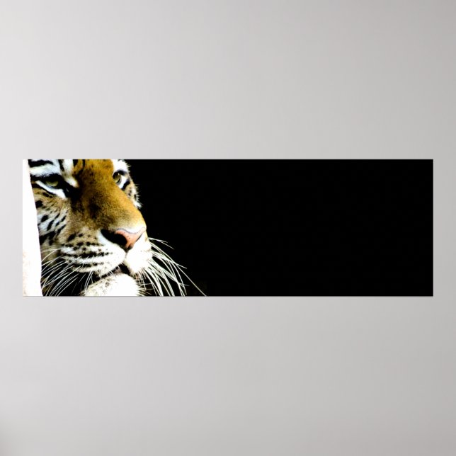 Tiger Öga Poster (Framsidan)