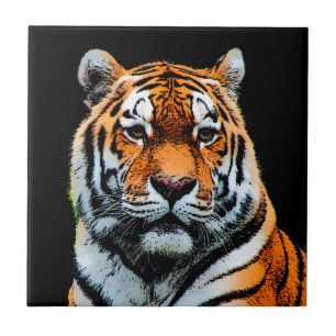 Tiger Ögon inspiration Kakelplatta