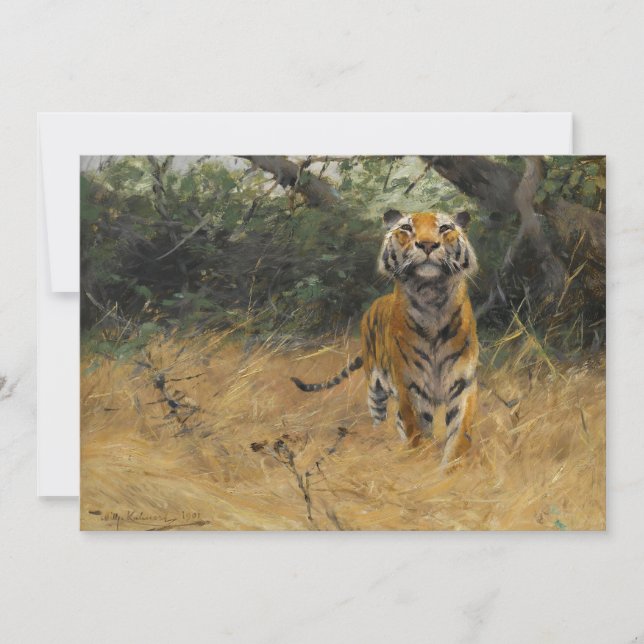 Tiger om bevakningen | Wilhelm Kuhnert (Framsida)