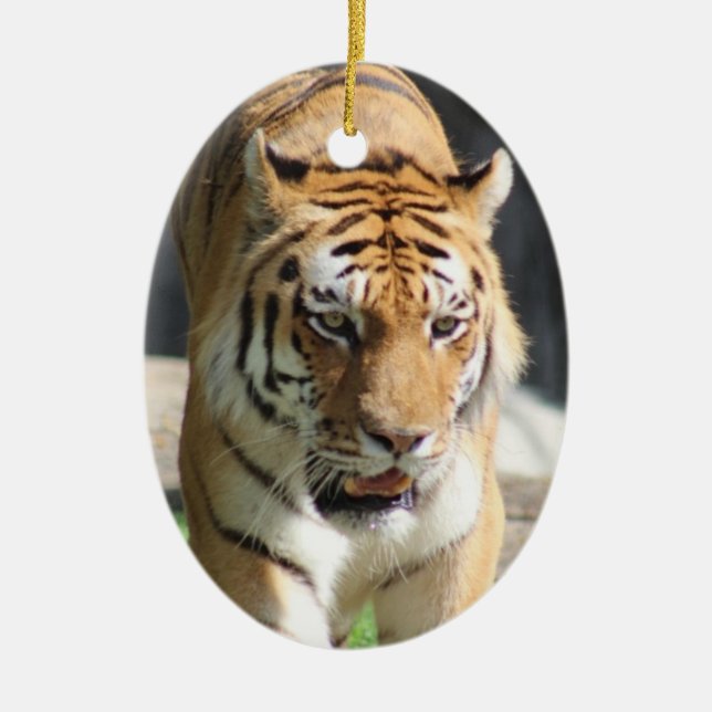 Tiger-ornament Julgransprydnad Keramik (Framsidan)