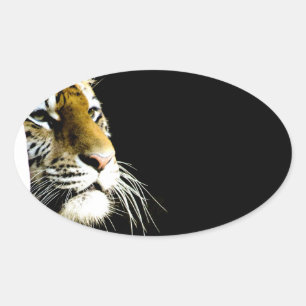 Tiger Ovalt Klistermärke