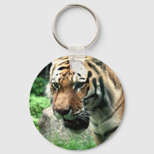 Tiger på den Bronx zooen Keychain Nyckelring