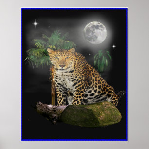 Tiger på natten poster