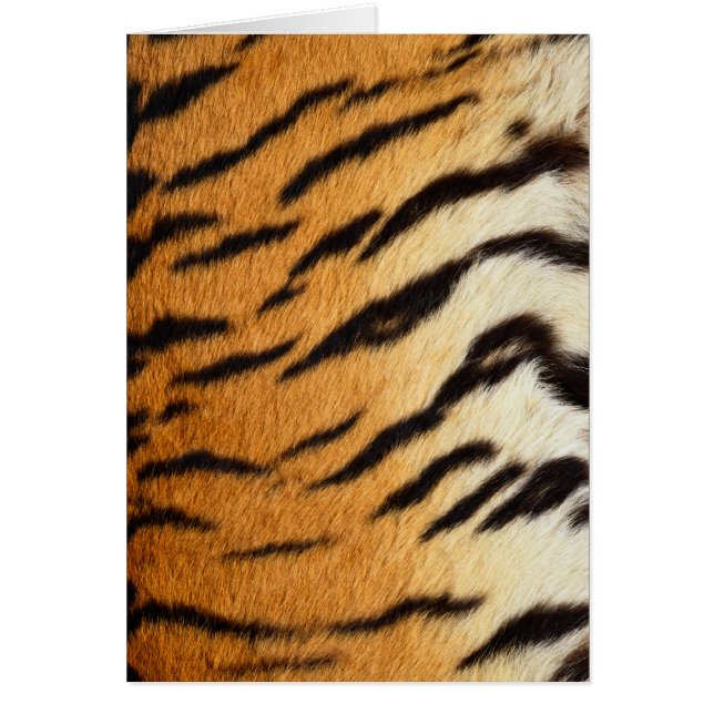 Tiger Päls Wildlife Cards-serien Hälsningskort (Framsidan)
