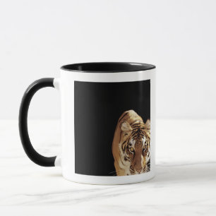 Tiger (Panthera tigris) Mugg