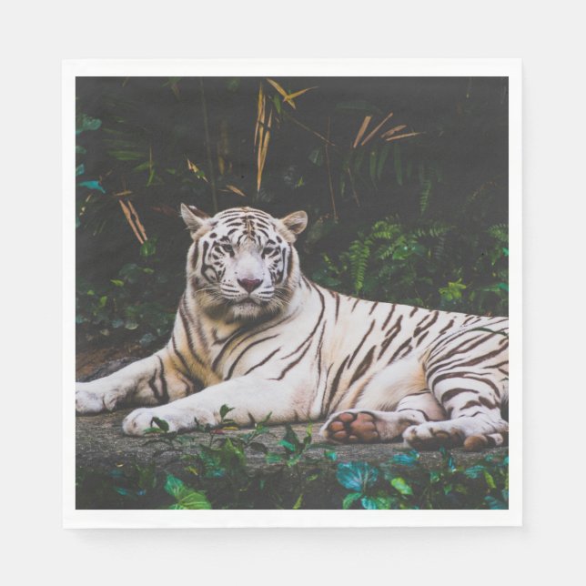 Tiger Pappersservett (Framsidan)