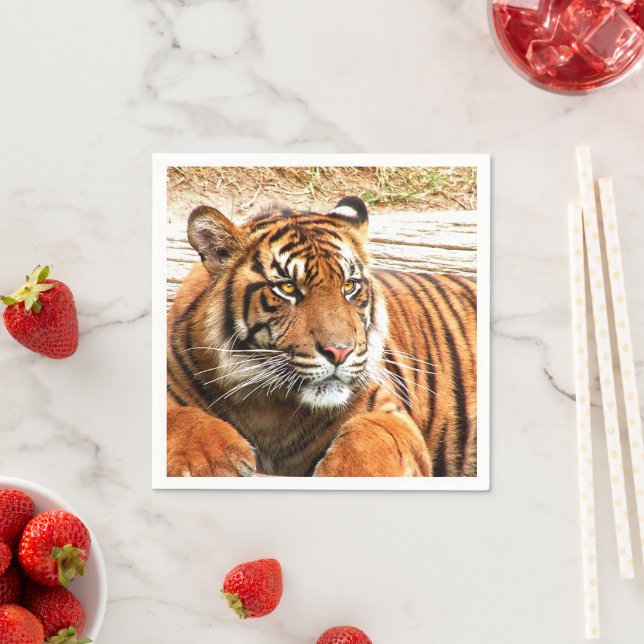 Tiger Pappersservett (Insitu)