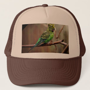 Tiger Parakeet Keps