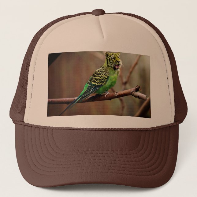 Tiger Parakeet Keps (Framsida)
