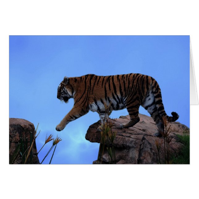 Tiger-passage Hälsningskort (Framsidan Horizontal)