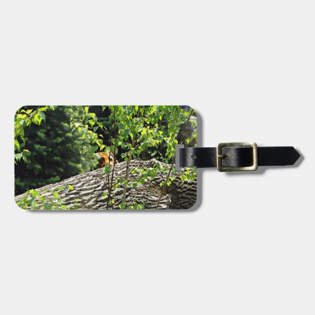 Tiger Peek-a-boo Bagage Tag Bagagebricka (Horisontell Framsida)
