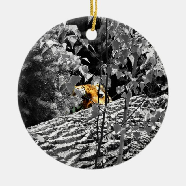 Tiger Peek-a-boo Ornament (Framsidan)