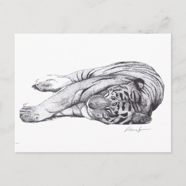 Tiger - Penna och Bläck Vykort (Framsida)