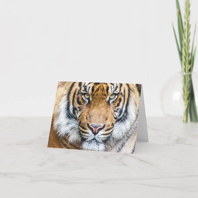 Tiger Personlig Namn Grattis på födelsedagen Kort (Framsida)