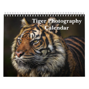 Tiger Photography Vild Animal 2025 Kalender