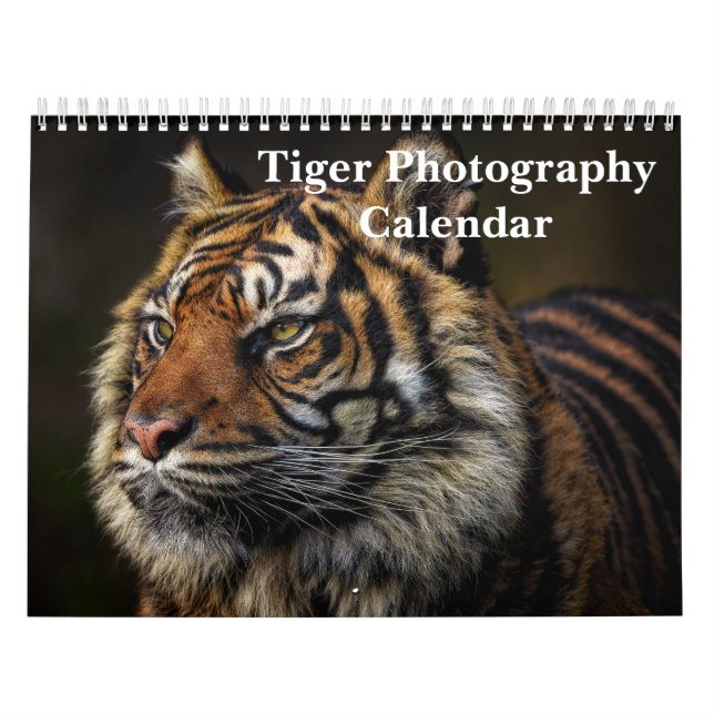 Tiger Photography Vild Animal 2025 Kalender (Omslag)
