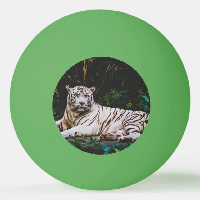 Tiger Pingisboll (Framsidan)