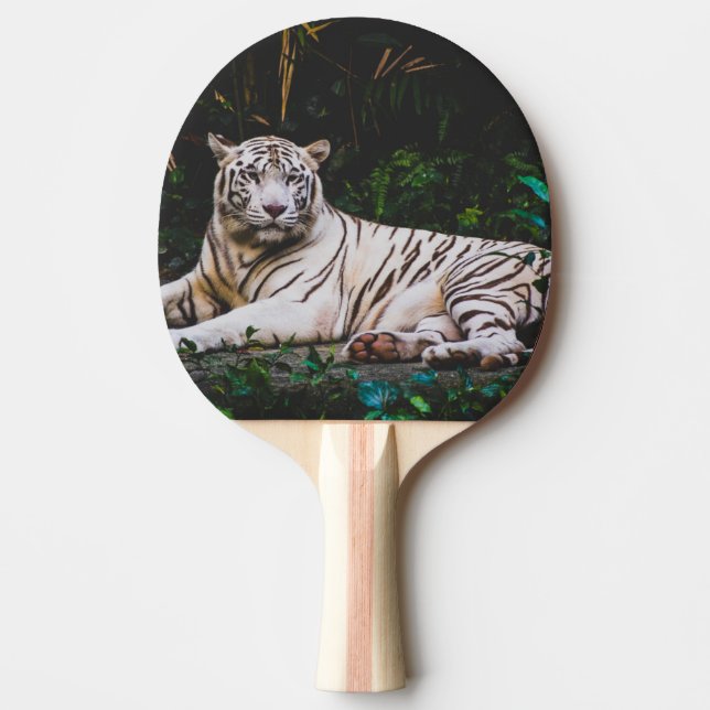 Tiger Pingisracket (Framsidan)