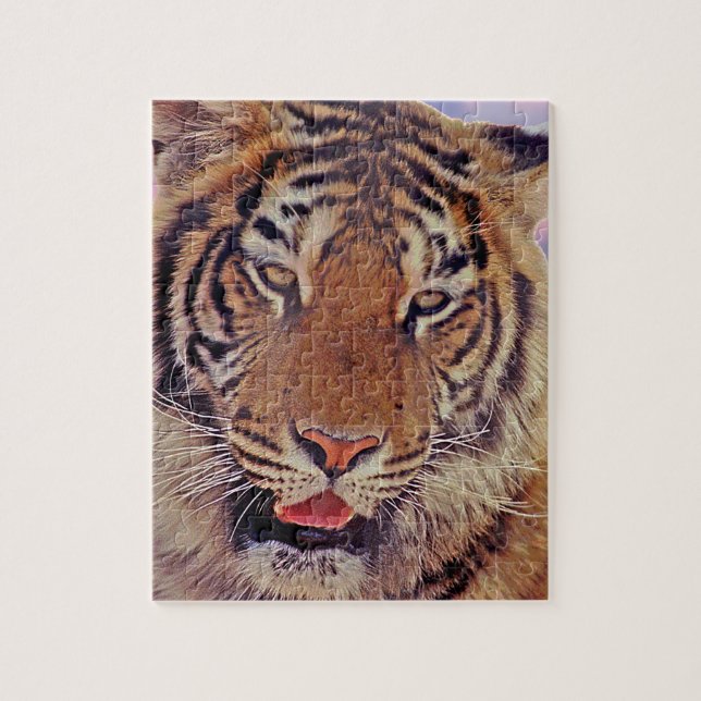 Tiger Porträtt foto med solnedgång Pussel (Vertikal)
