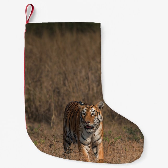 TIGER PORTRÄTT LITEN JULSTRUMPA (Framsidan)