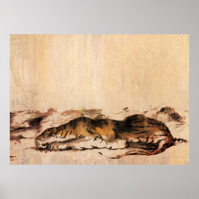 tiger poster (Framsidan)