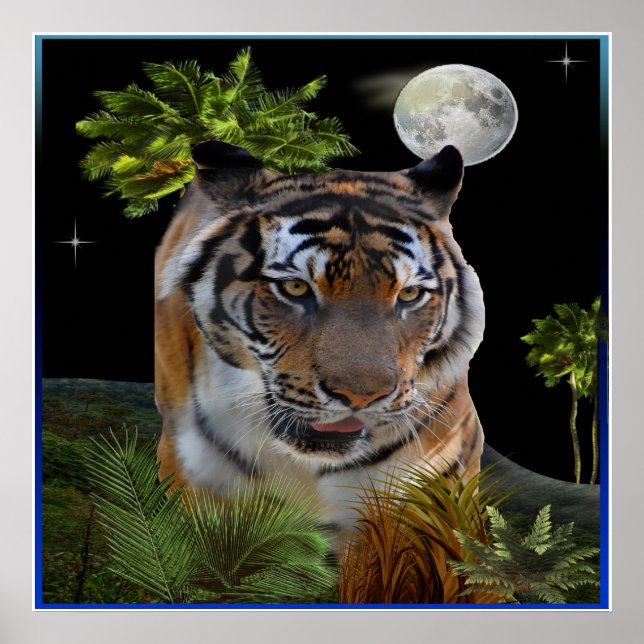 Tiger Poster (Framsidan)