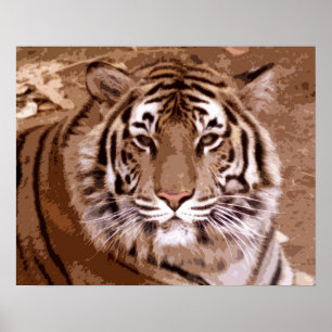 Tiger Poster