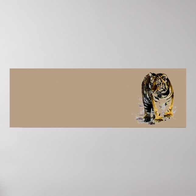 Tiger Poster (Framsidan)