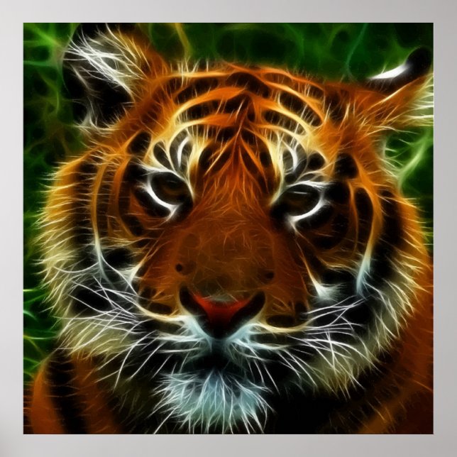 TIGER POSTER (Framsidan)
