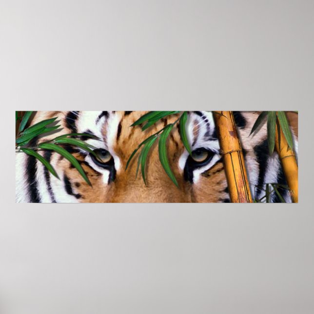 tiger poster (Framsidan)