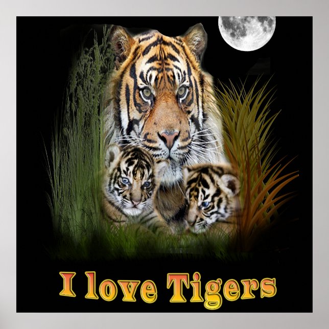tiger poster (Framsidan)