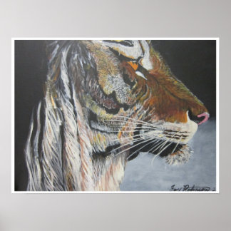 Tiger Poster