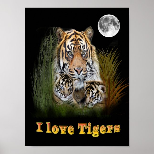 tiger poster (Framsidan)