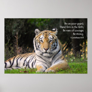 Tiger Poster