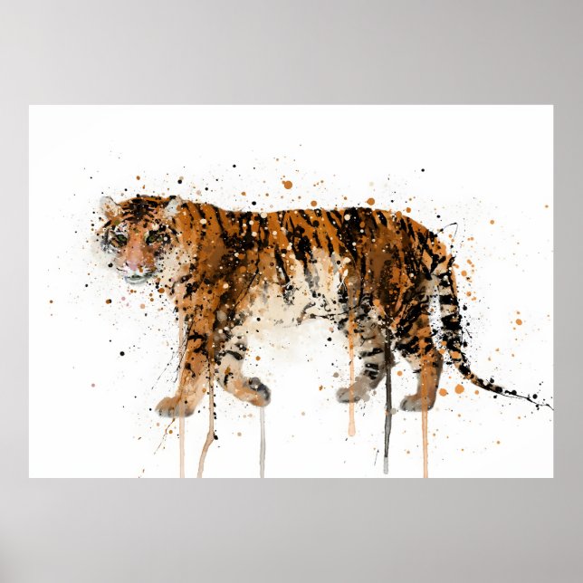 Tiger Poster (Framsidan)